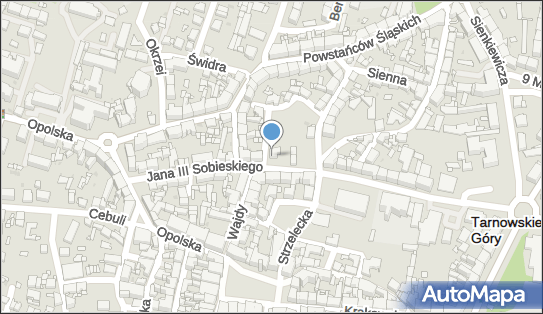 Agencja Ubezpieczeniowa, ul. Jana III Sobieskiego 16 42-600 - Przedsiębiorstwo, Firma, numer telefonu, NIP: 6450013514