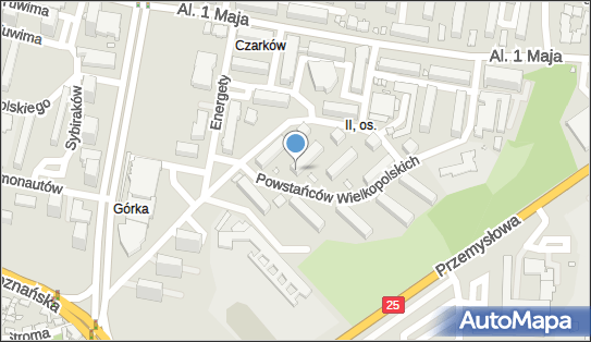 Agent Ubezpieczeniowy Janicka Grażyna, Powstańców Wielkopolskich 1 62-510 - Przedsiębiorstwo, Firma, NIP: 6651609099