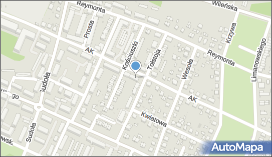 Agent Ubezpieczeniowy, Armii Krajowej 13, Oleśnica 56-400 - Przedsiębiorstwo, Firma, NIP: 9111460293