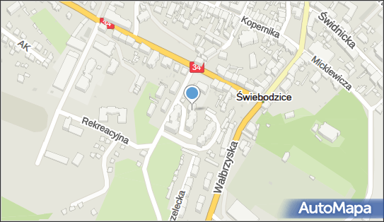 Agent Ubezpieczeniowy, Patronacka 2, Świebodzice 58-160 - Przedsiębiorstwo, Firma, NIP: 8841032250
