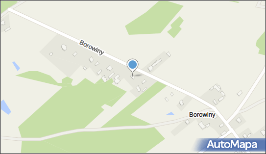 Agent Ubezpieczeniowy, Borowiny 28, Borowiny 96-100 - Przedsiębiorstwo, Firma, NIP: 8361404906