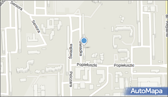 Agent Ubezpieczeniowy, ul. Witolda Świadka 7, Rzeszów 35-310 - Przedsiębiorstwo, Firma, NIP: 8131365166