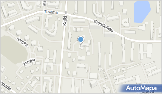 Agent Ubezpieczeniowy, ul. Michała Kajki 12, Ełk 19-300 - Przedsiębiorstwo, Firma, NIP: 8481153588