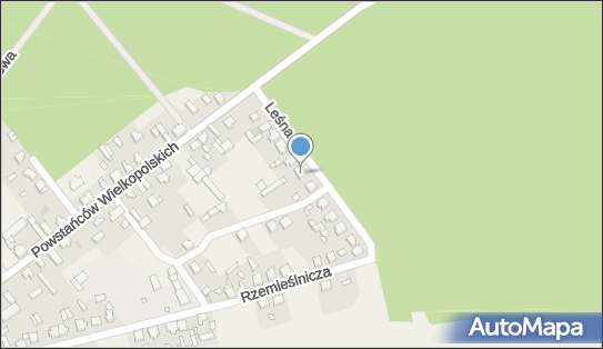 Agent Ubezpieczeniowy, Leśna 4, Mochy 64-234 - Przedsiębiorstwo, Firma, NIP: 6981061121