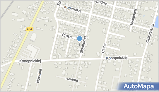 6961065794, Agent Ubezpieczeniowy Sławomir Paszkier 