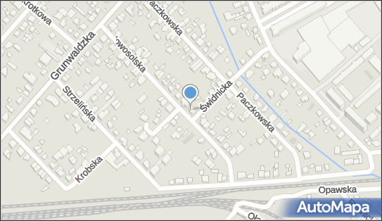 Agent Ubezpieczeniowy, Nowosolska 21a, Poznań 60-171 - Przedsiębiorstwo, Firma, numer telefonu, NIP: 7821121524