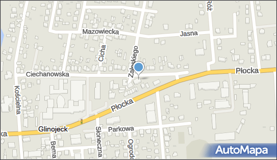 Agnesse, Ciechanowska 16A, Glinojeck 06-450 - Przedsiębiorstwo, Firma, NIP: 5661698299