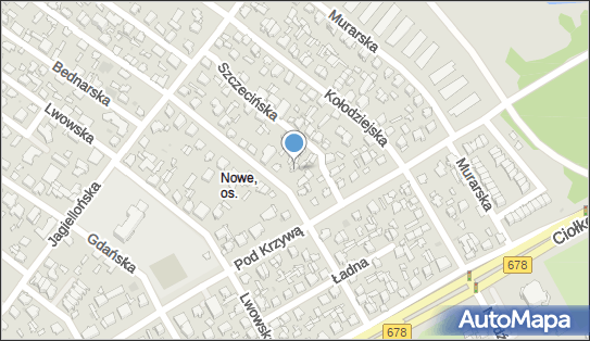 Agnieszka Hryniewska, Dojlidzka 41, Białystok 15-254 - Przedsiębiorstwo, Firma, NIP: 9660178097