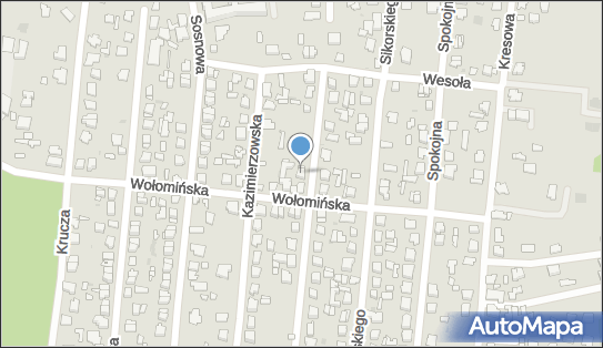 Agnieszka Majewska Majewska Agnieszka, Cicha 8, Wołomin 05-200 - Przedsiębiorstwo, Firma, NIP: 1250910123