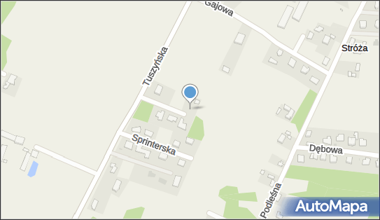 Agnieszka Wolska Smart Bus, Kasztanowa 7, Stróża 95-020 - Przedsiębiorstwo, Firma, NIP: 7271867996