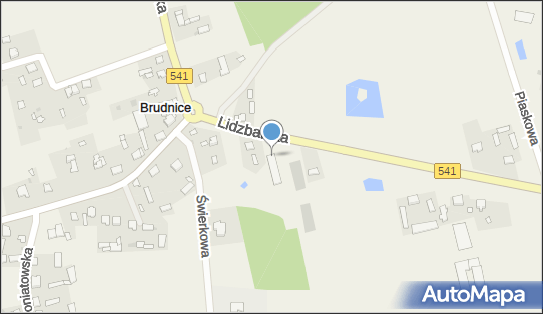 Agros, Lidzbarska 21A, Brudnice 09-300 - Przedsiębiorstwo, Firma, NIP: 5691078271