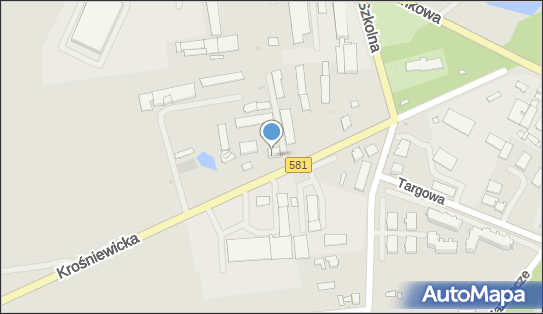 Agrowal Przedsiębiorstwo Handlowo Usługowe, Krośniewicka 5 09-500 - Przedsiębiorstwo, Firma, NIP: 9710106899