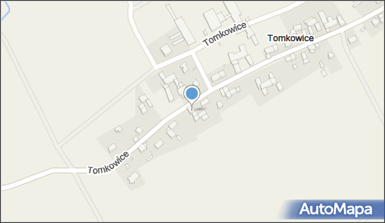 Ahmedov Mustafa, Tomkowice 20, Tomkowice 58-150 - Przedsiębiorstwo, Firma, NIP: 8842748097