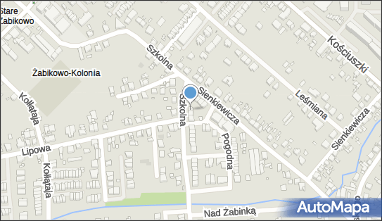 Ajp Andrzej Kaczmarek, Szkolna 22, Luboń 62-030 - Przedsiębiorstwo, Firma, NIP: 7822036298