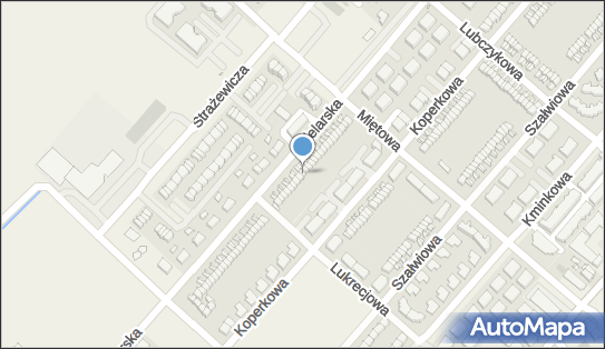 Akademia Języków Obcych Europa, Zielarska 86, Plewiska 62-064 - Przedsiębiorstwo, Firma