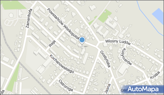 Akademia Nauki-Danuta Dziuba, Powstańców Wielkopolskich 14, Śrem 63-100 - Przedsiębiorstwo, Firma, numer telefonu