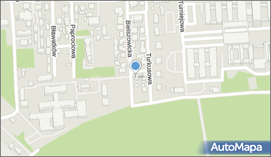 Akademia Piłkarska Brychczy, ul. Bielszowicka 4, Warszawa 04-738 - Przedsiębiorstwo, Firma, numer telefonu