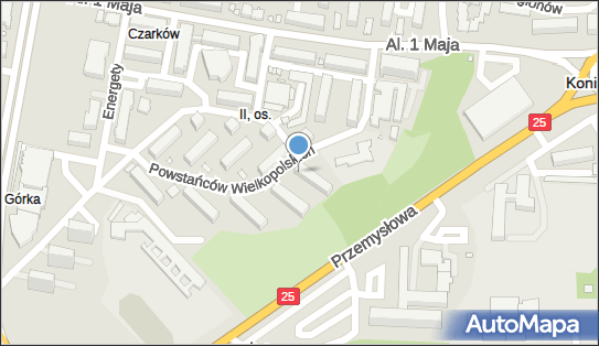 Akademia Ruchu Anna Zioła, ul. Powstańców Wielkopolskich 12 62-510 - Przedsiębiorstwo, Firma, NIP: 6651845078