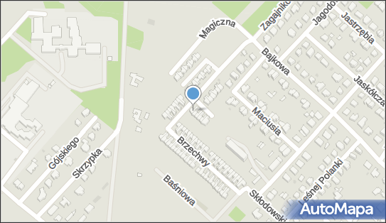 Akira Jacek Dąbrowski, ul. Jana Brzechwy 54, Skierniewice 96-100 - Przedsiębiorstwo, Firma, NIP: 8361595680