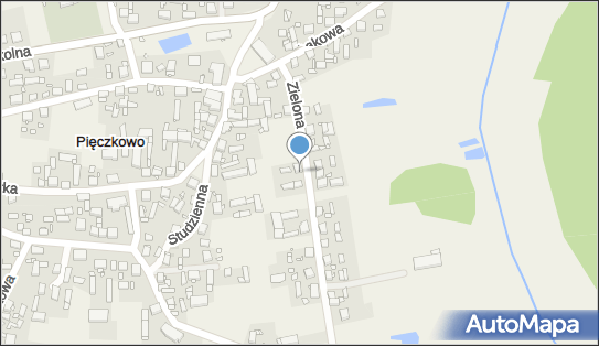 Alanex Łukasz Biernacki, ul. Zielona 8, Pięczkowo 63-025 - Przedsiębiorstwo, Firma, NIP: 6171054885