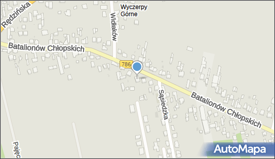 Albina Rostas, ul. Batalionów Chłopskich 52, Częstochowa 42-200 - Przedsiębiorstwo, Firma, NIP: 6342836934