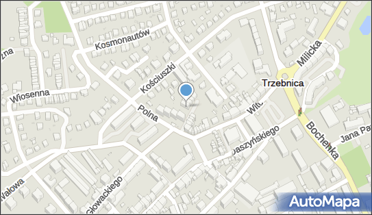 Alegra Anna Cichy, Polna 21, Trzebnica 55-100 - Przedsiębiorstwo, Firma, NIP: 9151325555
