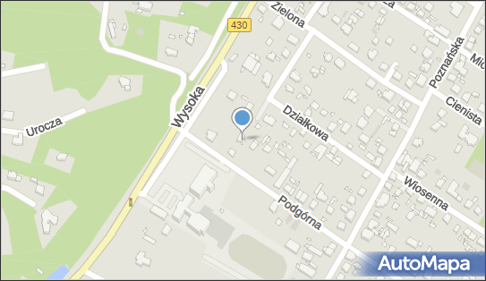 7771066213, Aleksander Pajszczyk 