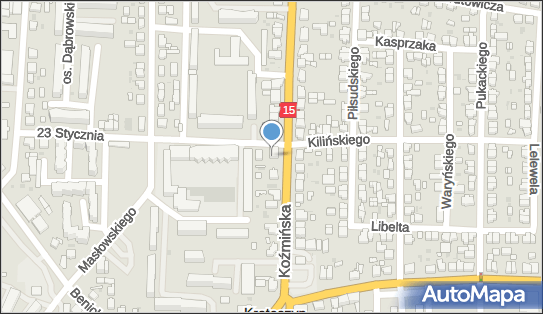 Aleksandra Lechel-Janoś Alexa Firma Sprzątająca, Koźmińska 55 63-700 - Przedsiębiorstwo, Firma, NIP: 6211120477