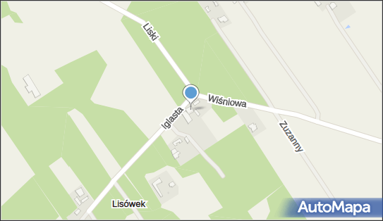 Aleksandra Pacek-Puc Omni-Perfect, ul. Wiśniowa 10, Lisówek 96-321 - Przedsiębiorstwo, Firma, NIP: 5291578685