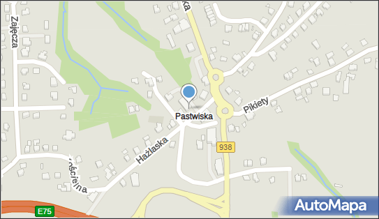 Aleksandra Wierzbicka, ul. Katowicka 59, Cieszyn 43-400 - Przedsiębiorstwo, Firma, NIP: 5482539928