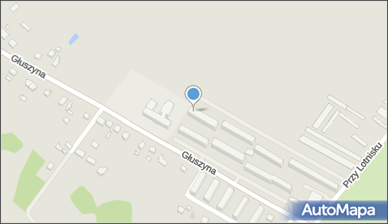 Alert Zakład Usług Elektronicznych, Głuszyna 197, Poznań 61-329 - Przedsiębiorstwo, Firma, NIP: 7821516228