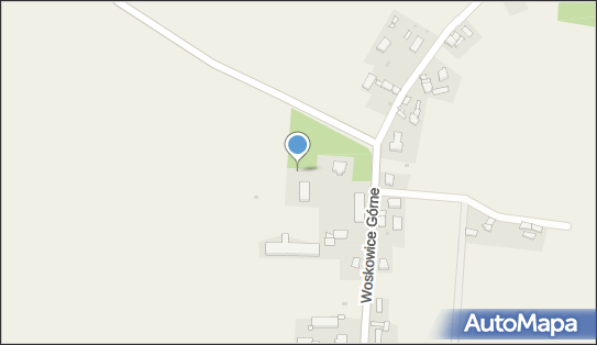 Alferia Aleksandra Uruska, Woskowice Górne 34c, Woskowice Górne 46-146 - Przedsiębiorstwo, Firma, NIP: 6191917237