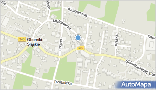 Alfex Celina Spexard, ul. Marii Skłodowskiej-Curie 22-24 55-120 - Przedsiębiorstwo, Firma, NIP: 9141352763