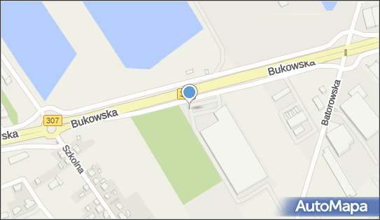 Alglob, Bukowska 42, Dąbrowa 62-069 - Przedsiębiorstwo, Firma, numer telefonu, NIP: 7811689909