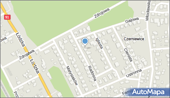 8792404041, Faleński Michał Aliant Company 