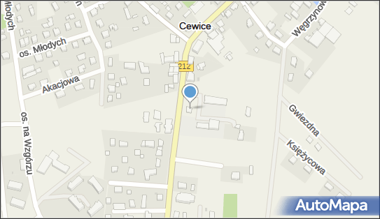 Alicja Olak, ul. Wincentego Witosa 19C, Cewice 84-312 - Przedsiębiorstwo, Firma, NIP: 8411598196