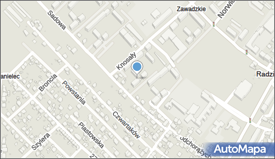 Alicja Pietrycha, Knosały Józefa, ks. dr. 87, Radzionków 41-922 - Przedsiębiorstwo, Firma, NIP: 6452552215