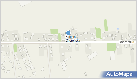 Alicja Skrzypczak Zakład Produkcyjno- Usługowy, Chorońska 70 42-256 - Przedsiębiorstwo, Firma, NIP: 9490316441