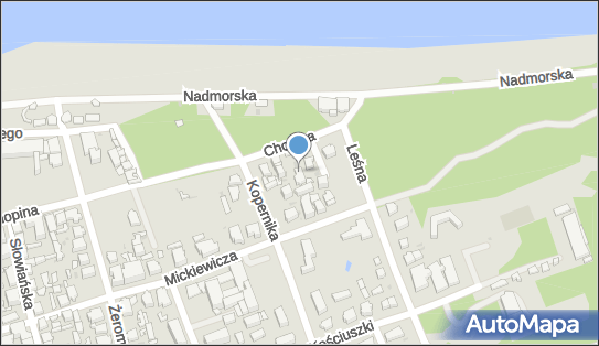 Alina Sarnecka, ul. Fryderyka Chopina 12, Ustka 76-270 - Przedsiębiorstwo, Firma, NIP: 8392101199