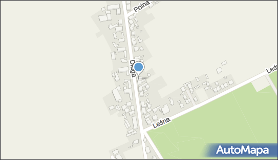 Alina Skrzypczak -Aljana, ul. Długa 73, Kurza Góra 64-000 - Przedsiębiorstwo, Firma, NIP: 6981403722