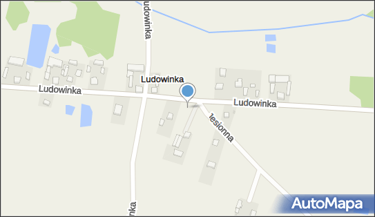 Alinex, Włodzimierz 33, Włodzimierz 98-105 - Przedsiębiorstwo, Firma, numer telefonu, NIP: 7310011378