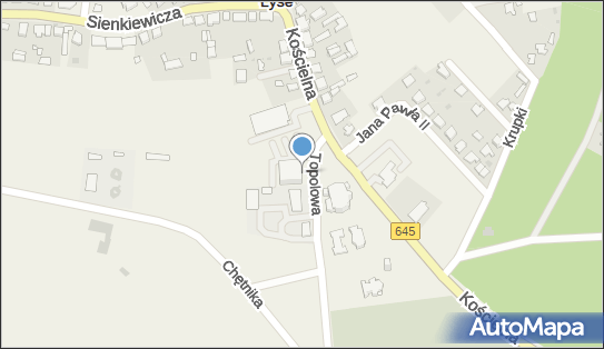 Almed A Balcerzak L Wysocki, ul. Topolowa 2, Łyse 07-437 - Przedsiębiorstwo, Firma, numer telefonu, NIP: 7582352490