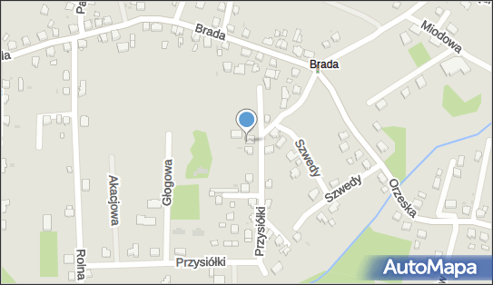 Alnet, Przysiółki 12, Łaziska Górne 43-170 - Przedsiębiorstwo, Firma, numer telefonu, NIP: 6351604198