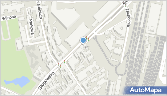 Alternatural Paulina Łosińska-Tomasik, Głogowska 27, Poznań 60-702 - Przedsiębiorstwo, Firma, NIP: 7842028735