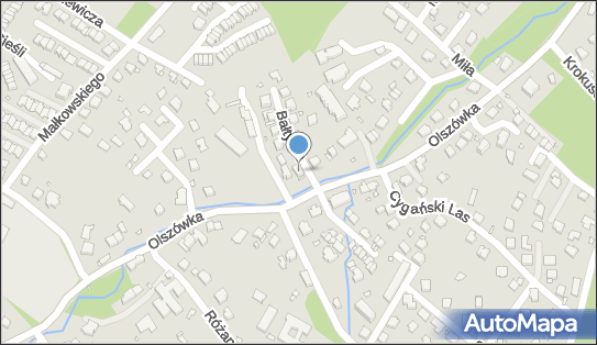 Altis Firma Handlowa, ul. Bałtycka 1, Bielsko-Biała 43-309 - Przedsiębiorstwo, Firma, numer telefonu, NIP: 5470284405