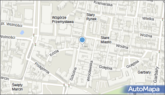 Altp, Kozia 16, Poznań 61-835 - Przedsiębiorstwo, Firma, numer telefonu, NIP: 7781411284