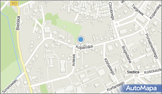 Ama Ryguła, ul. M. Kopernika 46, Pszczyna 43-200 - Przedsiębiorstwo, Firma, NIP: 6381567467