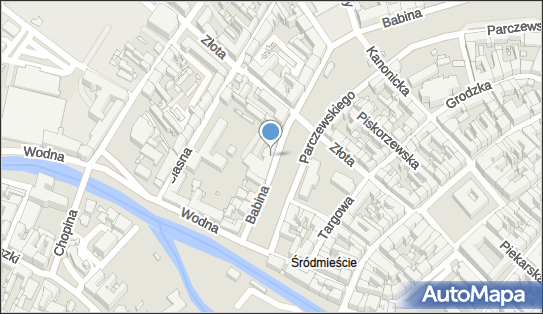 Amici, Babina 16, Kalisz 62-800 - Przedsiębiorstwo, Firma, NIP: 6181610626
