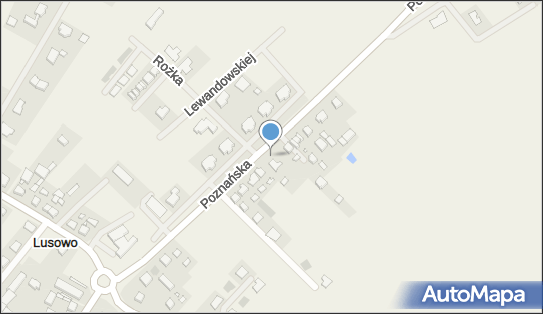 Amj Agata Boruczkowska, Poznańska 36, Lusowo 62-080 - Przedsiębiorstwo, Firma, NIP: 7772701812