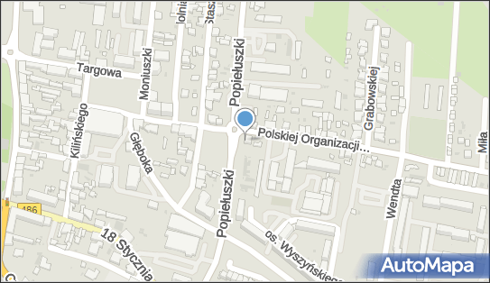 Amp Szczepaniak Paweł i S Ka, Polskiej Organizacji Wojskowej 8 98-300 - Przedsiębiorstwo, Firma, NIP: 8321038654